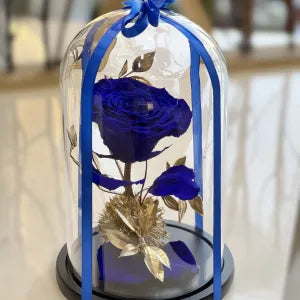 Sapphire Serenade Rose